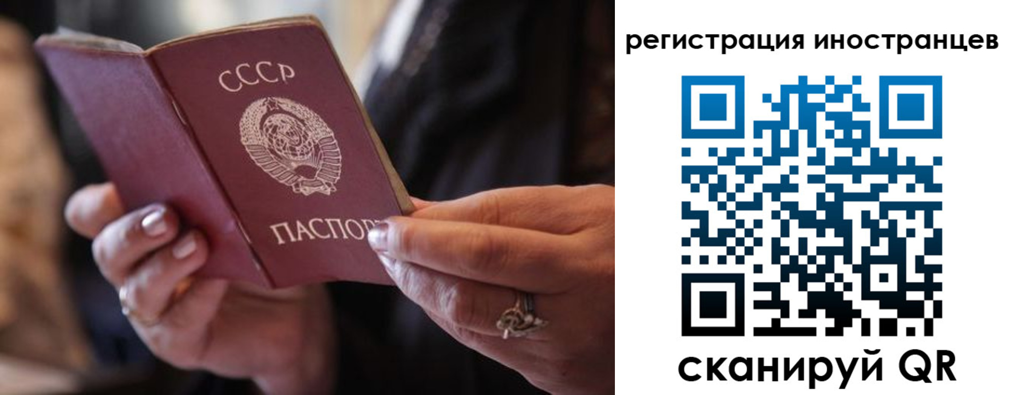 где прописаться в Николаевске